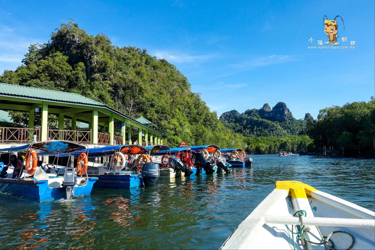 Jelajahi Keajaiban Mangrove Langkawi dengan Tur Mangrove